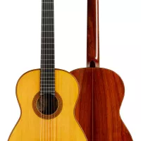 VHS ギター教則ビデオ　マーク・ハンソン　フィンガースタイル・ギター　楽譜 TAB]Sunflower(Easy Fingerstyle Guitar)ひまわり（初級